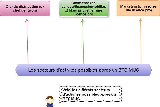 debouches professionnel apres le BTS MUC