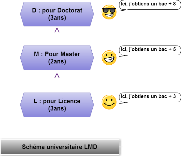 Schema universitaire