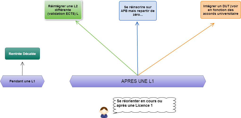 Faire Un Master Et Une Licence En Même Temps