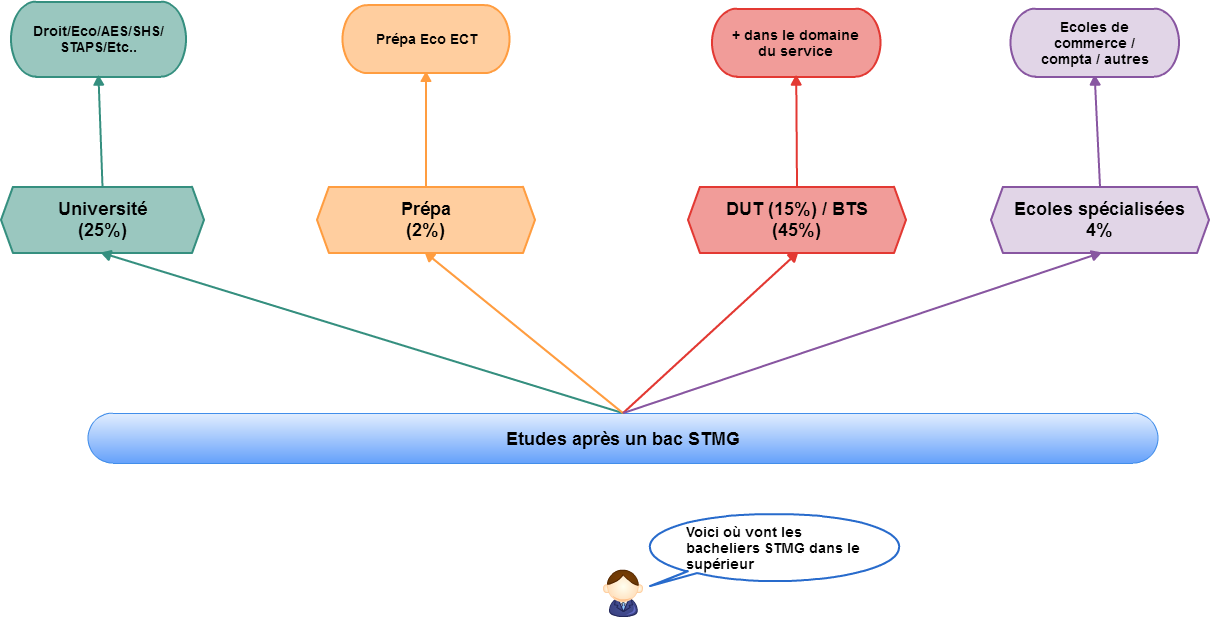 Que Faire Apres Un Bac Stmg Les Debouches Scolaires Et Pro