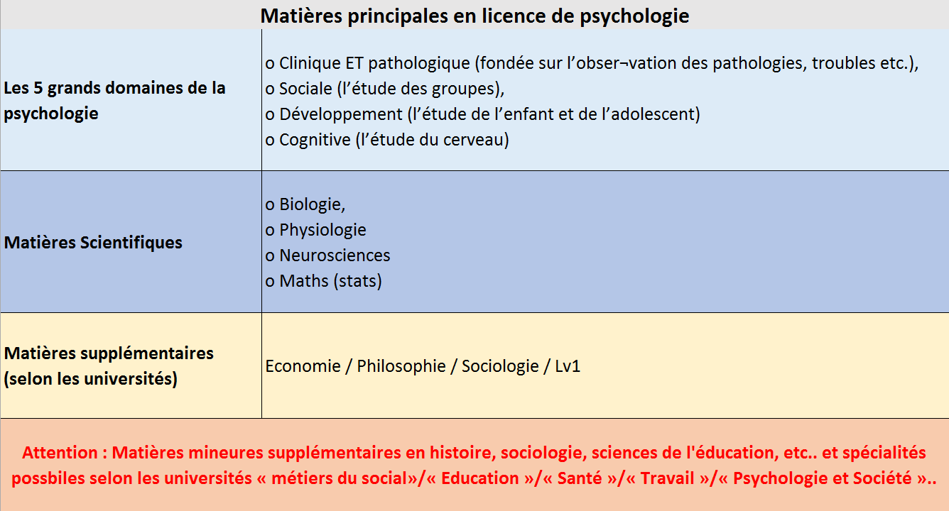 Licence de psychologie  programme, conseils, que faire après et